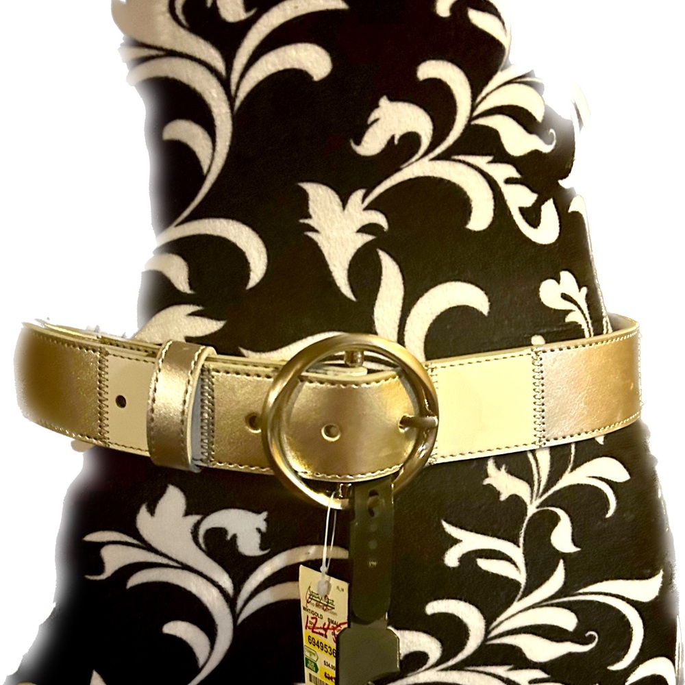NWT Metallic Belt